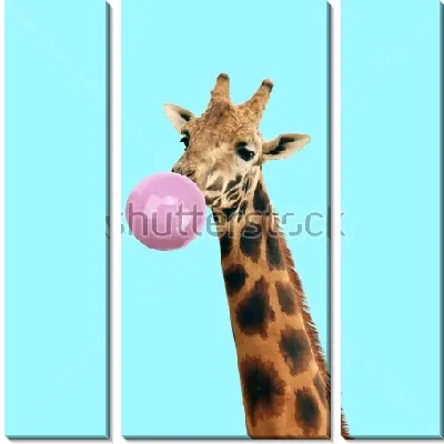 Модульная картина Жираф с пузырём жевательной резинки на голубом фоне
