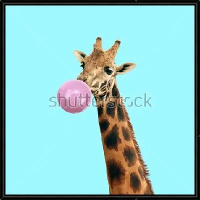 Жираф с пузырём жевательной резинки на голубом фоне