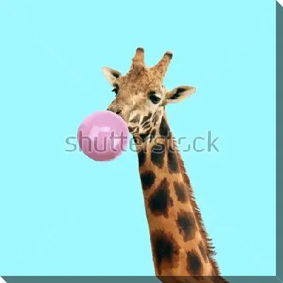 Жираф с пузырём жевательной резинки на голубом фоне
