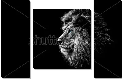 Модульная картина Роскошный лев с голубыми глазами на чёрном фоне