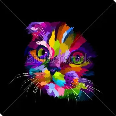 Разноцветная мордочка симпатичного котёнка на чёрном фоне в стиле-поп-арт