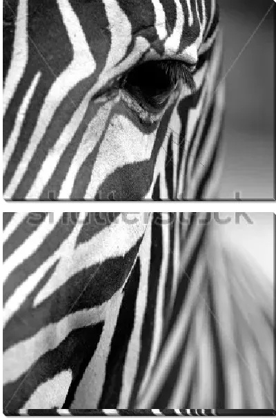 Модульная картина Геометрия в природе - прекрасная полосатая зебра