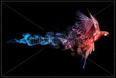 Красный попугай в шлейфе голубого дыма на чёрном фоне