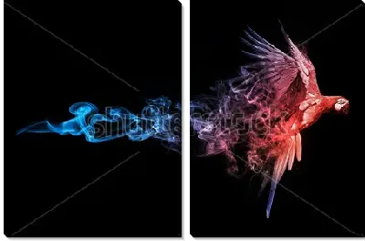 Красный попугай в шлейфе голубого дыма на чёрном фоне