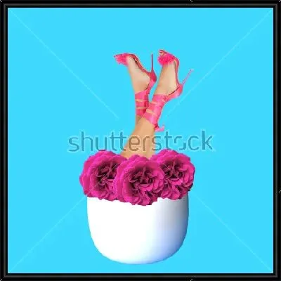 Картина Коллаж с белой цветочной клумбой, из которой растут ноги в розовых туфлях на высоком каблуке