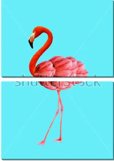 Модульная картина Яркий коллаж с розовым фламинго на голубом фоне с лепестками цветов