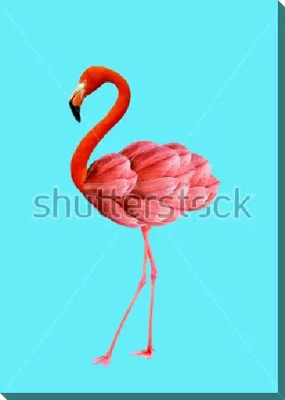 Постер Яркий коллаж с розовым фламинго на голубом фоне с лепестками цветов