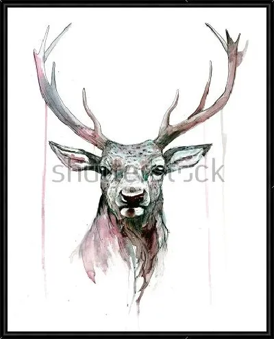 Картина Акварельный портрет оленя