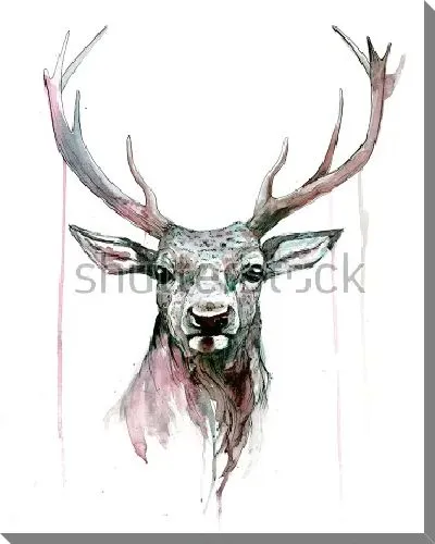 Постер Акварельный портрет оленя