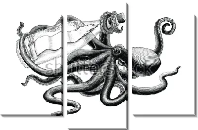 Модульная картина Чёрно-белая иллюстрация осьминога с посланием в бутылке