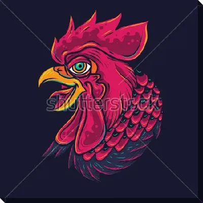 Пурпурная голова петуха на тёмном фоне