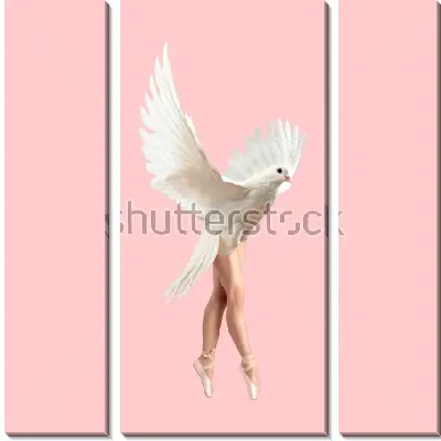 Модульная картина Коллаж с балериной в образе голубки на розовом фоне