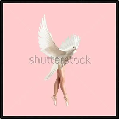 Коллаж с балериной в образе голубки на розовом фоне