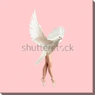 Коллаж с балериной в образе голубки на розовом фоне