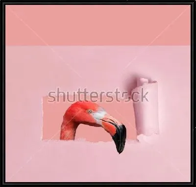 Розовый фламинго выглядывает в прорванное бумажное отверстие