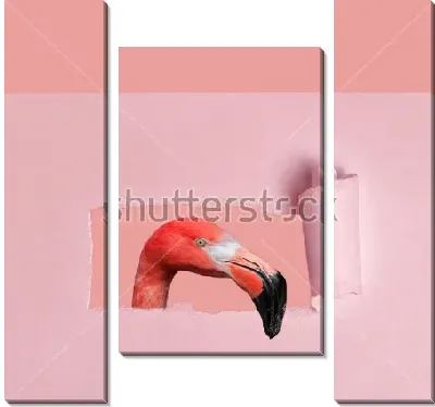 Розовый фламинго выглядывает в прорванное бумажное отверстие