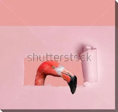 Розовый фламинго выглядывает в прорванное бумажное отверстие