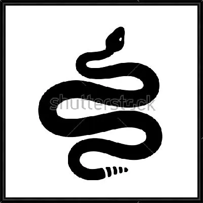 Чёрно-белый силуэт гремучей змеи на белом фоне в виде красивой виньетки