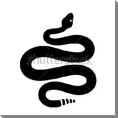 Чёрно-белый силуэт гремучей змеи на белом фоне в виде красивой виньетки