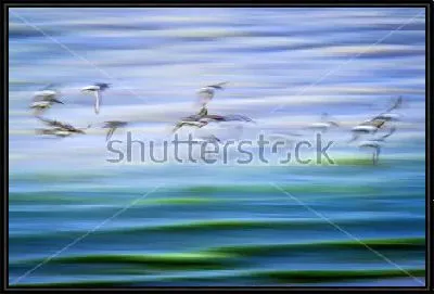 Картина Двойная экспозиция со стаей улетающих птиц и переливами мелких волн