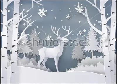 картина