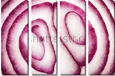 Модульная картина Красный лук на срезе