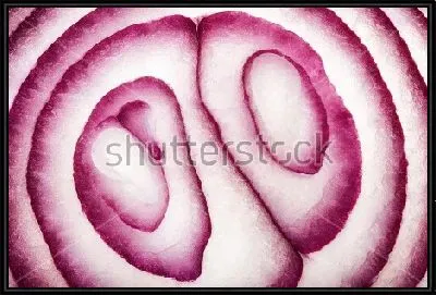 Красный лук на срезе