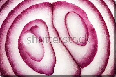 Красный лук на срезе