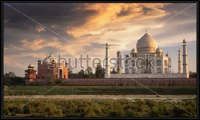 картина