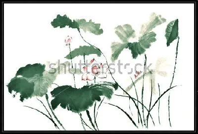 Картина Акварельная иллюстрация листьев и цветов розового лотоса в китайском стиле