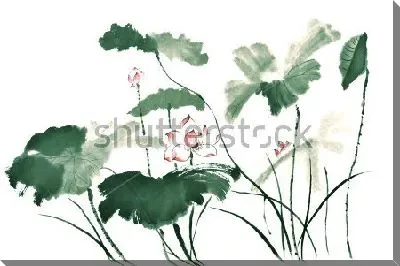 Картина маслом Акварельная иллюстрация листьев и цветов розового лотоса в китайском стиле