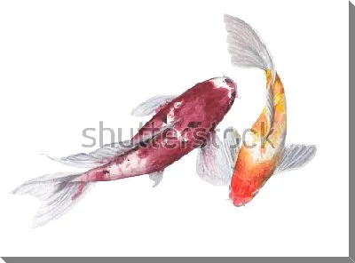 Картина маслом Красивые разноцветные рыбы на белом фоне