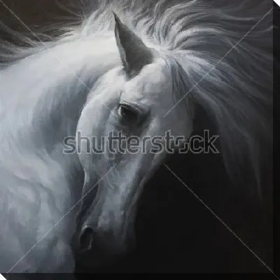 Картина маслом Портрет белого коня с красивой гривой на чёрном фоне