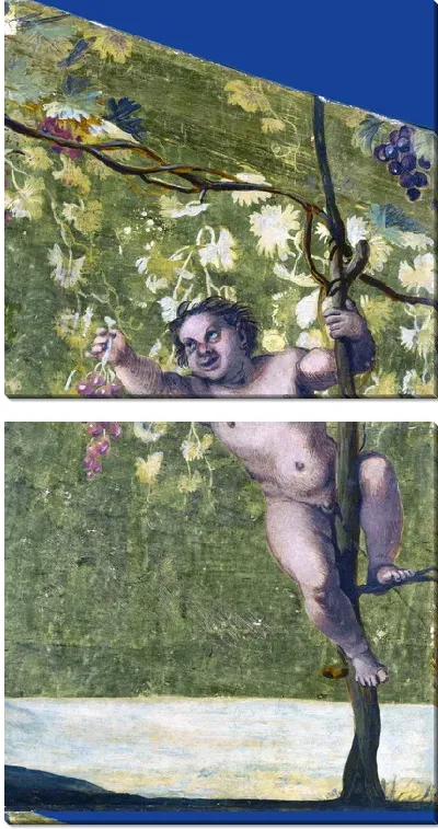 Картина Пути сбора винограда, (Putto gathering Grapes)
