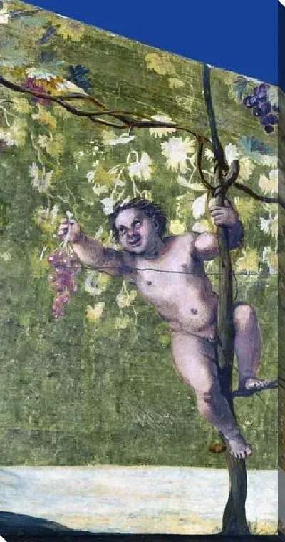Картина Пути сбора винограда, (Putto gathering Grapes)