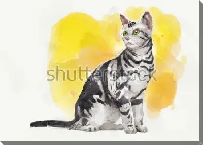 Картина маслом Выразительный портрет чёрно-белой полосатой кошки на ярком жёлтом фоне