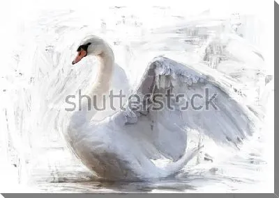 Прекрасный белый лебедь с распахнутыми крыльями