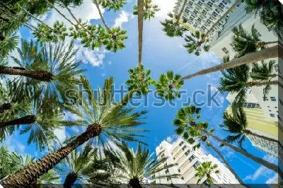 Картина маслом Пальмы и роскошные небоскрёбы в стиле арт-деко на фоне голубого неба