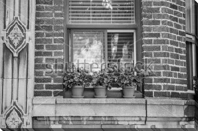 Чёрно-белый натюрморт с комнатными растениями на подоконнике дома в стиле арт-деко