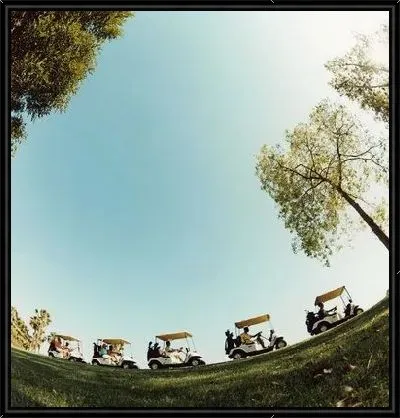 Картина Гольф кары