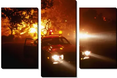 Модульная картина Полицейская машина