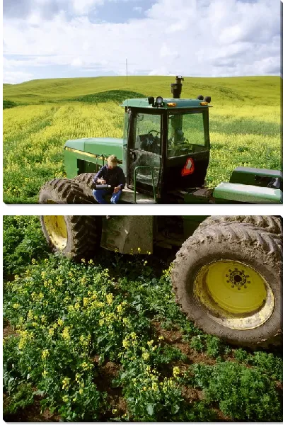 Модульная картина Трактор №3