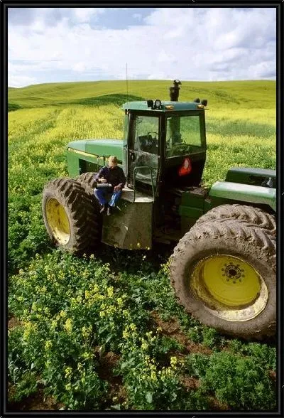 Картина Трактор №3