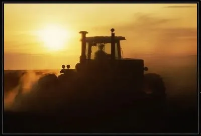 Картина Трактор №4