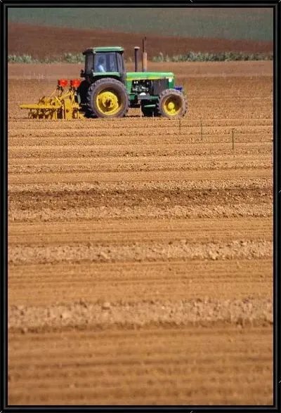 Картина Трактор №6