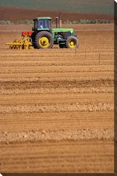 Постер Трактор №6