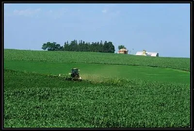 Картина Трактор №9