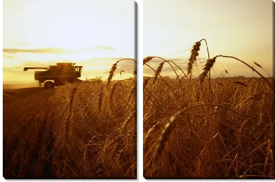 Модульная картина Комбайн №6