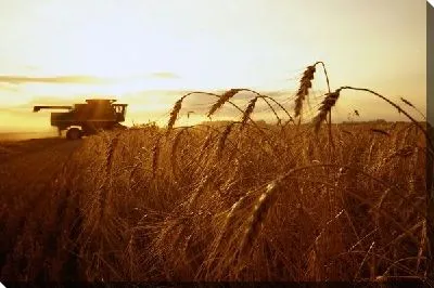 Постер Комбайн №6