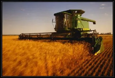 Картина Комбайн №7